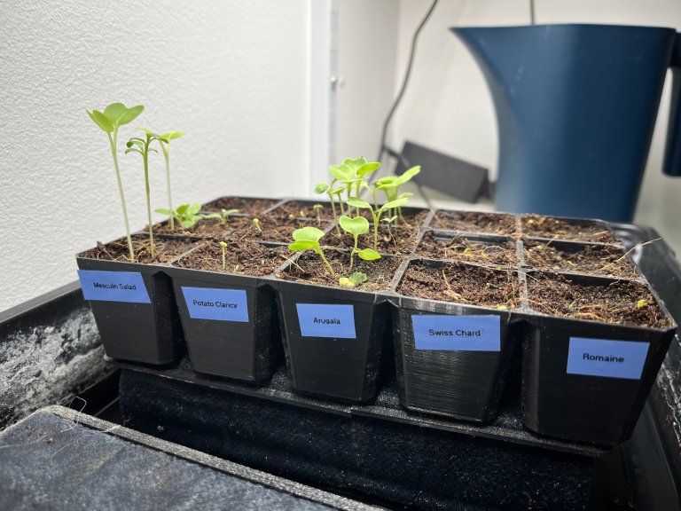 Fournitures de démarrage de semis pour la germination hydroponique