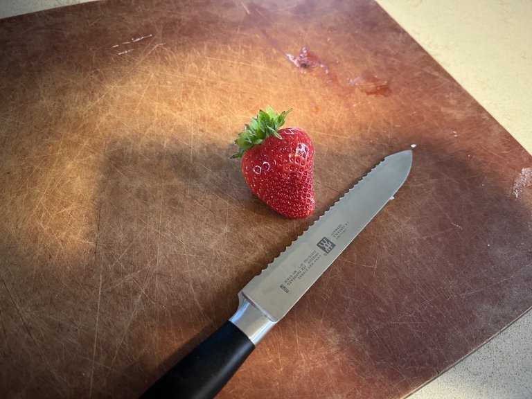 Fraises hydroponiques mûres prêtes pour la récolte
