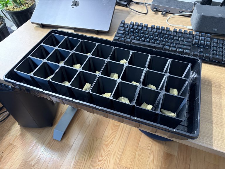 Seedling tray on a heat mat to encourage germination