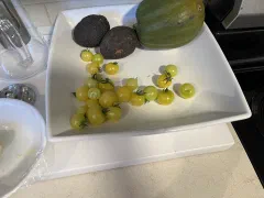 Birdie jaune Micro-dwarf tomato photo 1